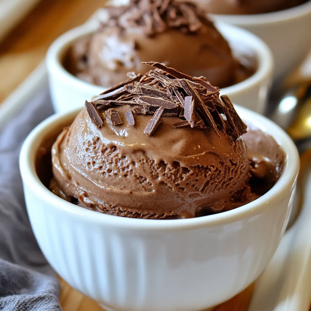 Chocolate Custard Ice Cream Rich and Creamy Delight